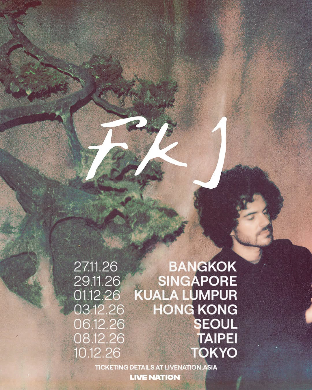 French Kiwi Juice 