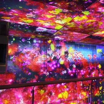 圖片來源：官方網站、U Lifestyle