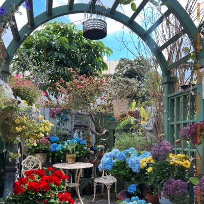 圖片來源：官方網站、U Lifestyle