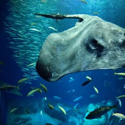 圖片來源：官方網站、U Lifestyle