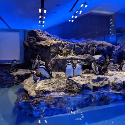 圖片來源：官方網站、U Lifestyle