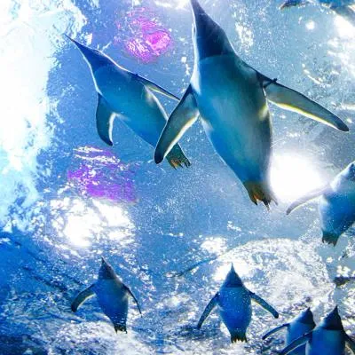 圖片來源：官方網站、U Lifestyle