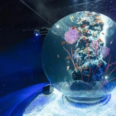 圖片來源：官方網站、U Lifestyle