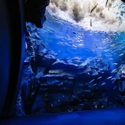 圖片來源：官方網站、U Lifestyle