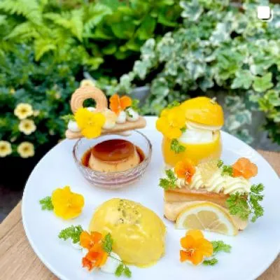 圖片來源：官方網站、U Lifestyle