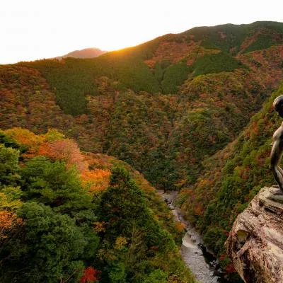 圖片來源：官方網站、U Lifestyle