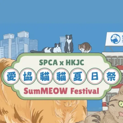 圖片來源：愛護動物協會官方網站