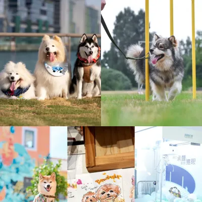 圖片來源：官方圖片