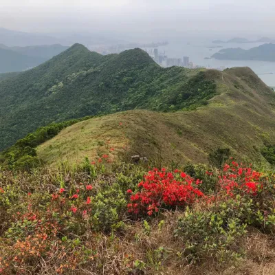 圖片來源：U Lifestyle