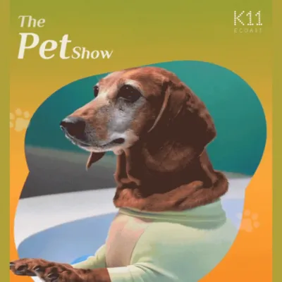 圖片來源：官方圖片