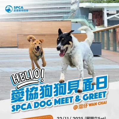圖片來源：FB@SPCA (HK) 香港愛護動物協會