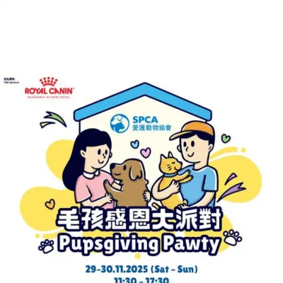 圖片來源：官方網站、U Lifestyle