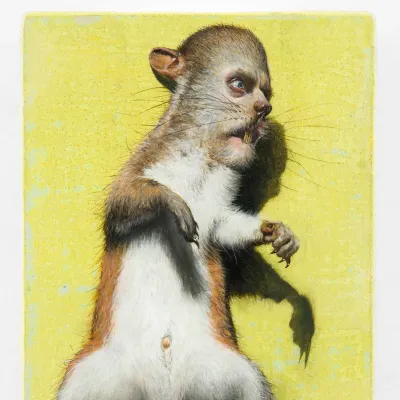 圖片來源：官方圖片