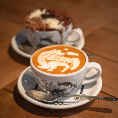 來源：sensory ZERO