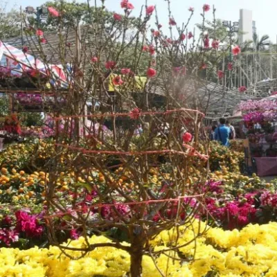 圖片來源：UHK港生活