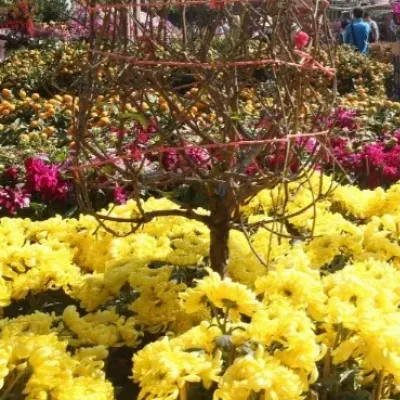 圖片來源：UHK 港生活