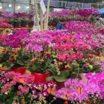 圖片來源：UHK 港生活