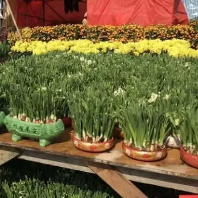 圖片來源：UHK 港生活