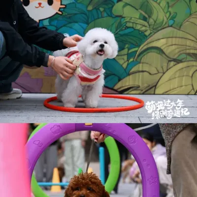 圖片來源：官方網站、U Lifestyle