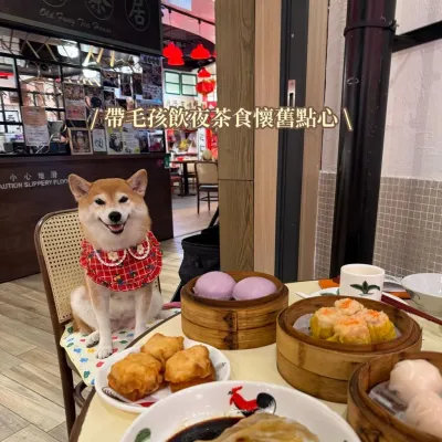 圖片來源：官方網站、U Lifestyle