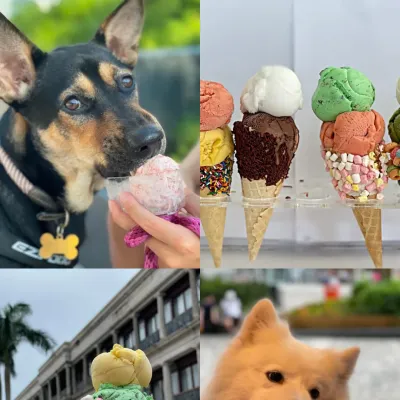 圖片來源：官方網站、U Lifestyle