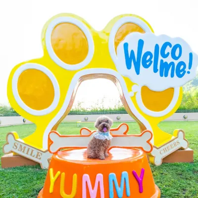 圖片來源：官方網站