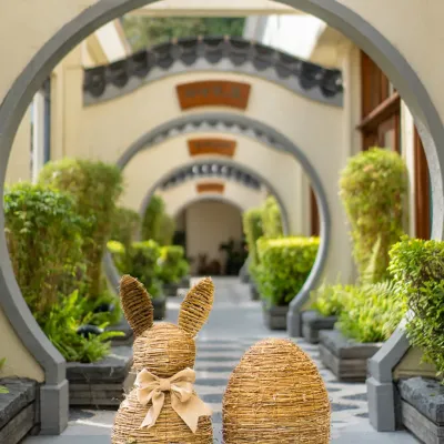 圖片來源：官方網站