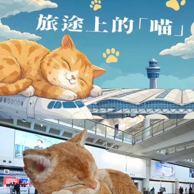 圖片來源：官方網站、U Lifestyle