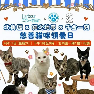 圖片來源：官方網站、U Lifestyle