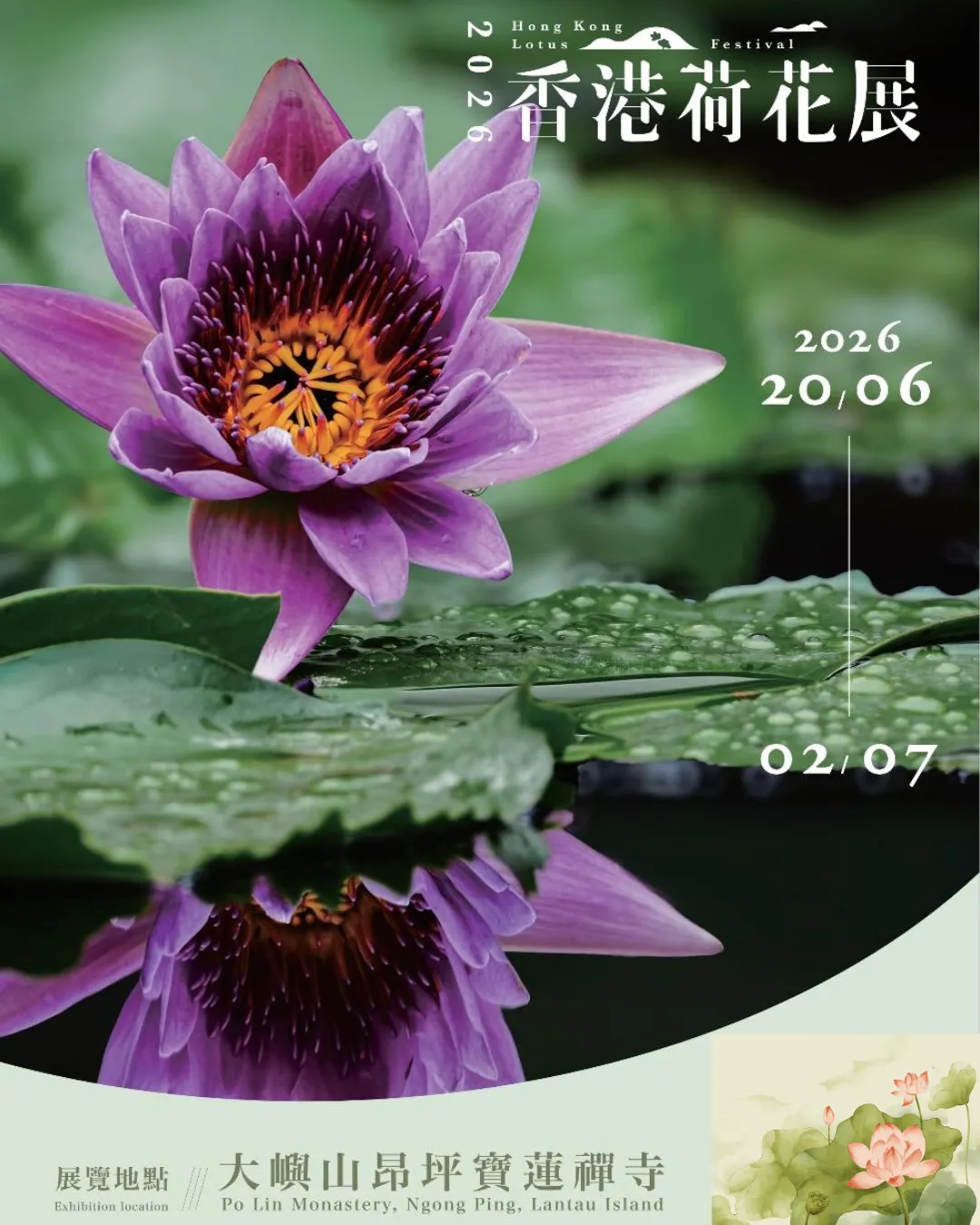 香港荷花展2026