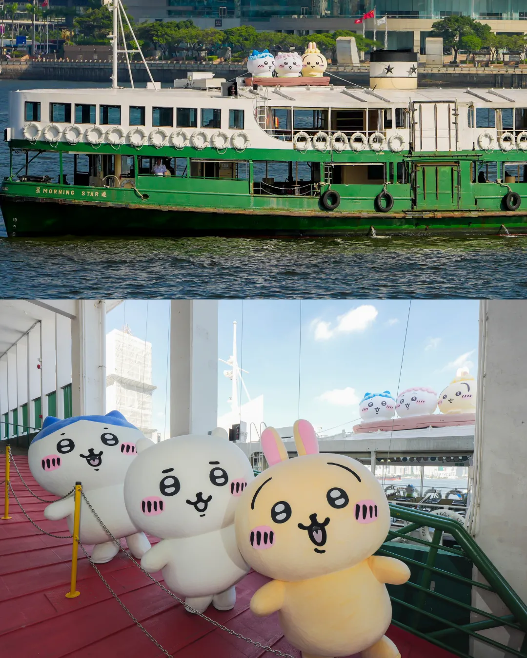 CHIIKAWA x 天星小輪 呈獻《劇場版CHIIKAWA人魚島的秘密》航行活動