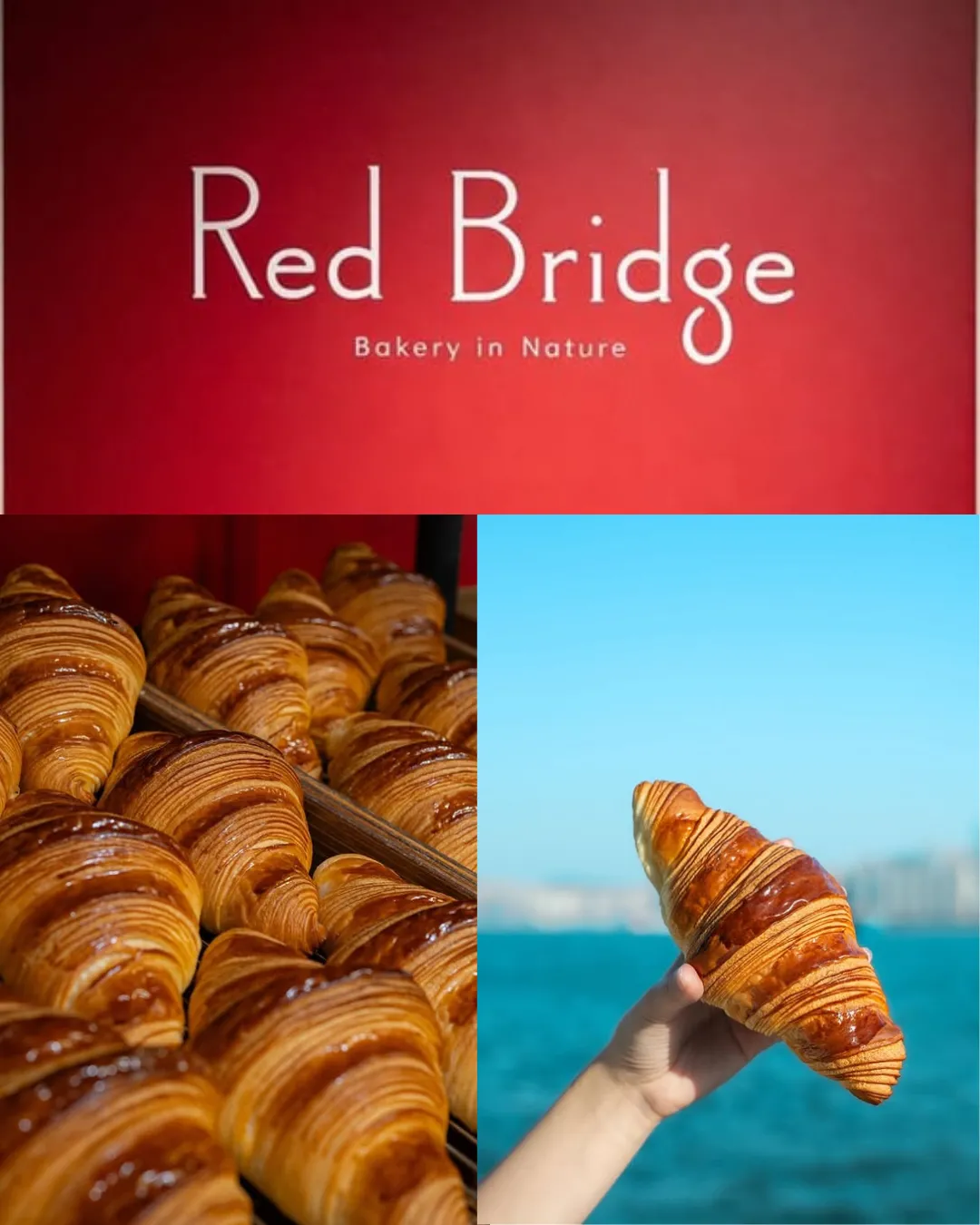 Red Bridge Bakery