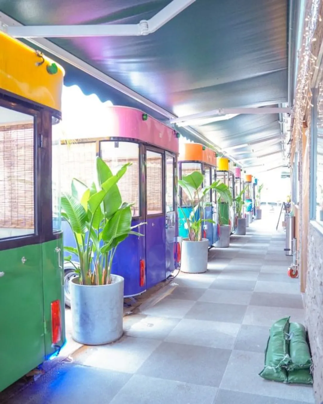 色彩泰國菜