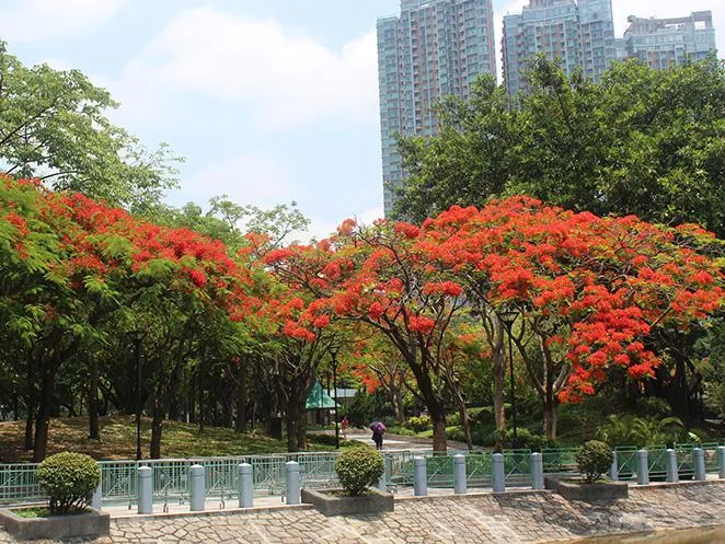 屯門公園