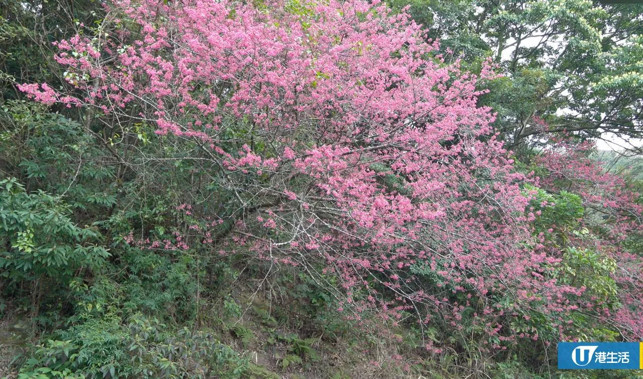 嘉道理農場暨植物園