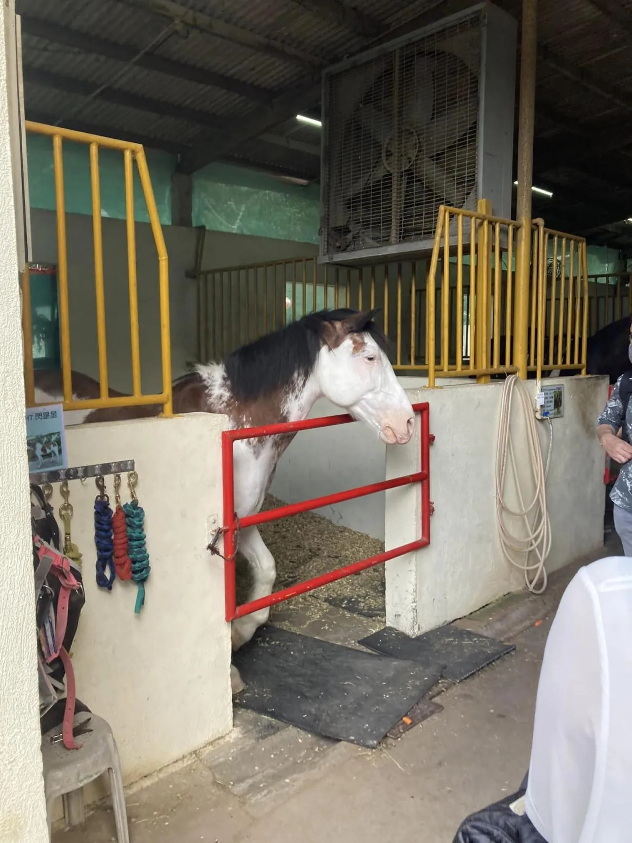 圖片來源：官方網站、U Lifestyle