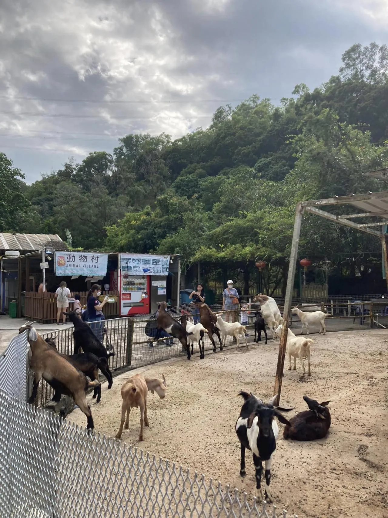 圖片來源：官方網站、U Lifestyle