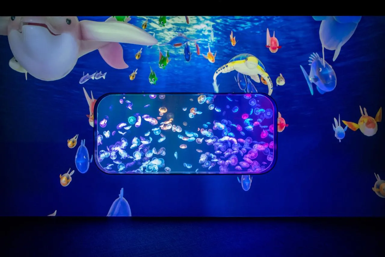 圖片來源：官方網站、U Lifestyle