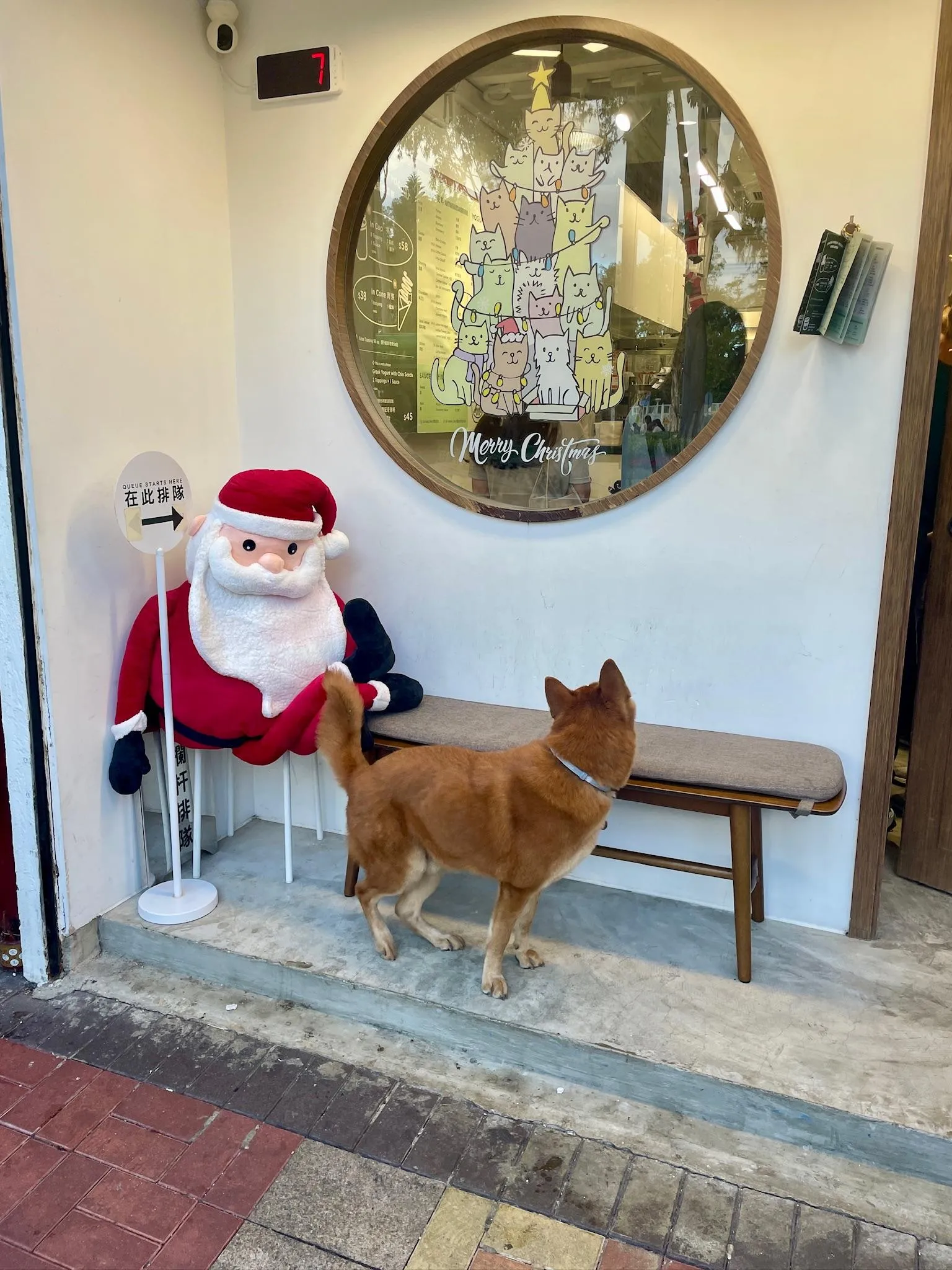 圖片來源：官方網站、U Lifestyle