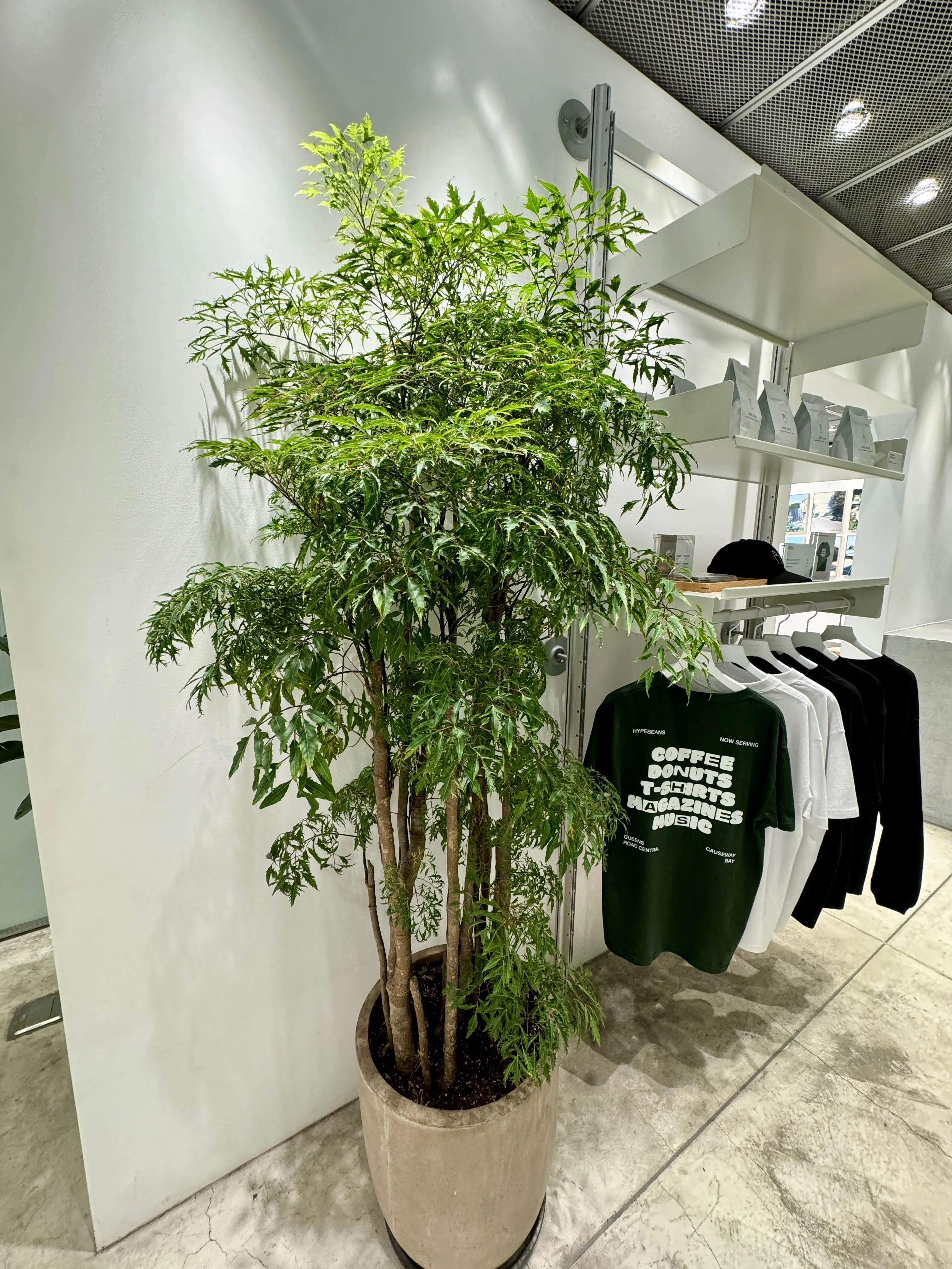 圖片來源：官方網站、U Lifestyle