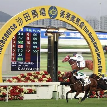 沙田馬場