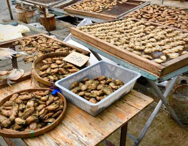 圖片來源：官方網站、U Lifestyle