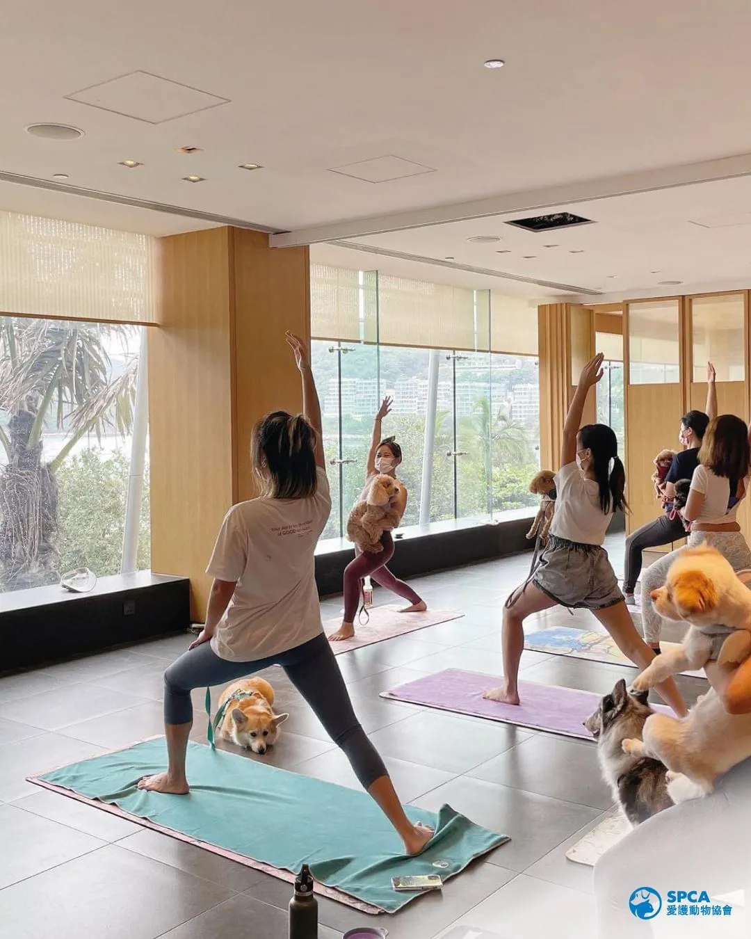 圖片來源：官方網站、U Lifestyle