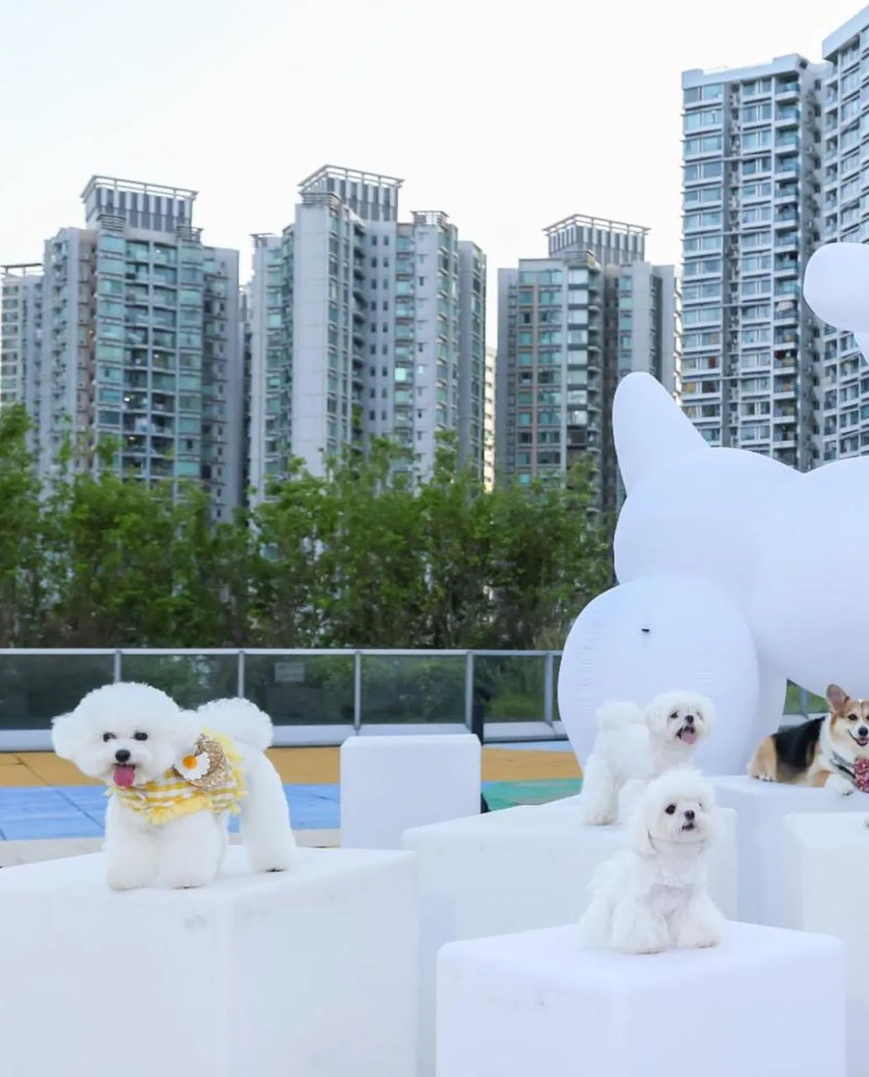 圖片來源：官方網站、U Lifestyle