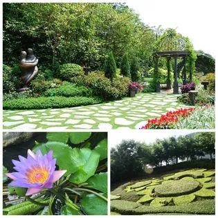 圖片來源：官方網站、U Lifestyle