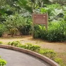 獅子山郊野公園