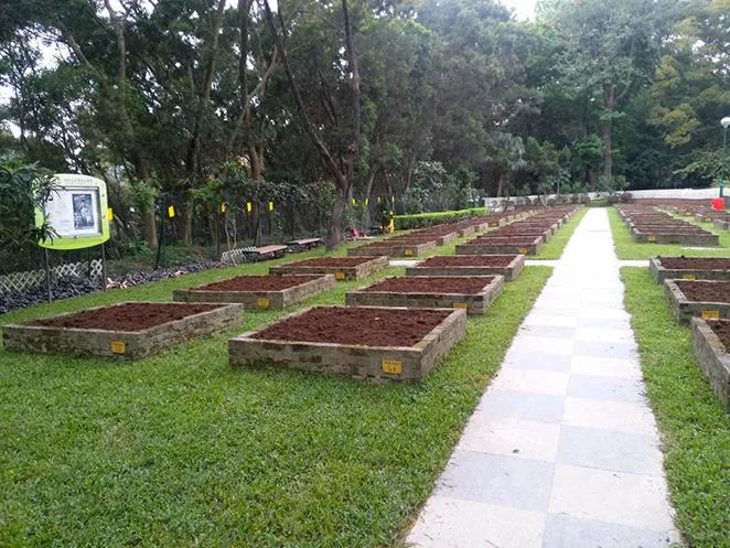 圖片來源：官方網站、U Lifestyle