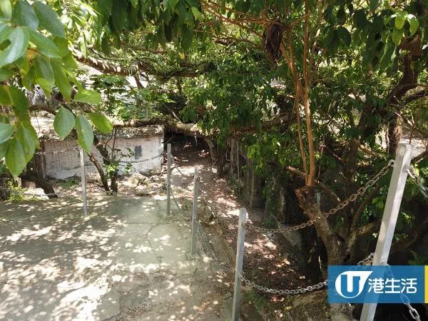 圖片來源：官方網站、U Lifestyle