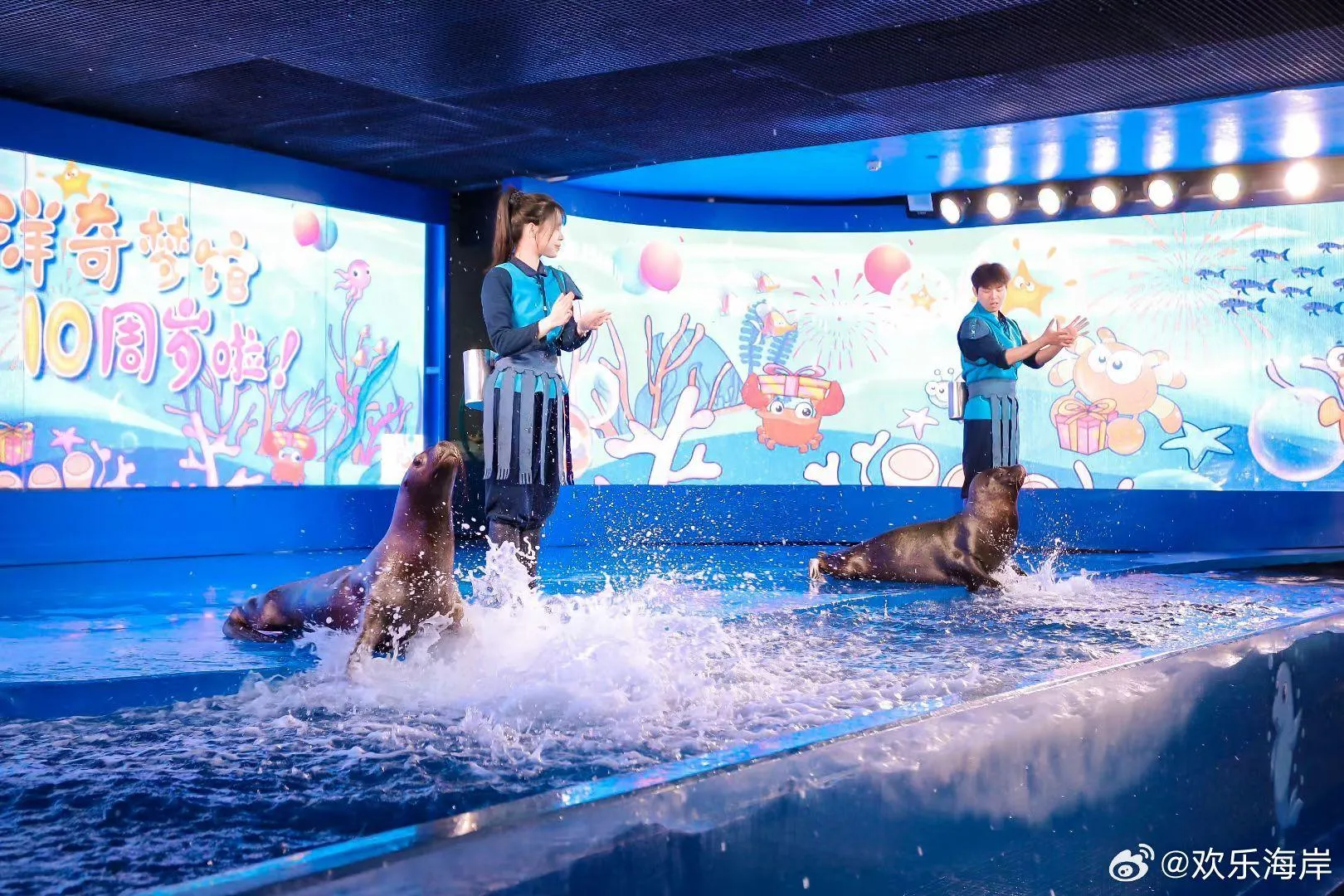 圖片來源：官方網站、U Lifestyle