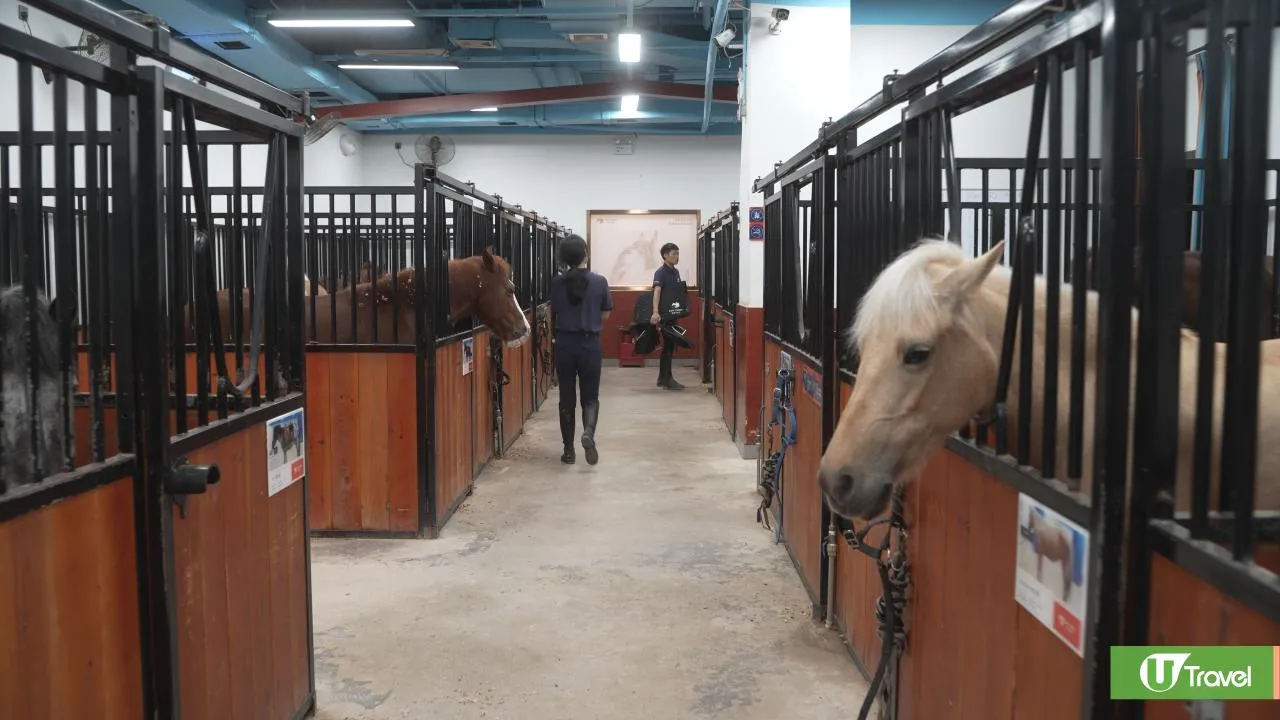 圖片來源：官方網站、U Lifestyle